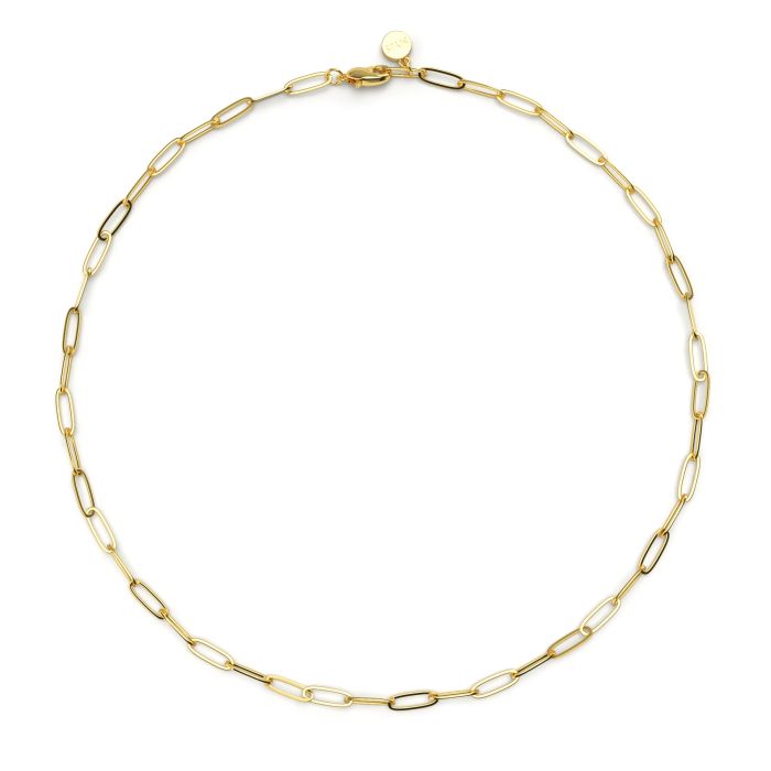 Link Carrier Necklace Gold Plated