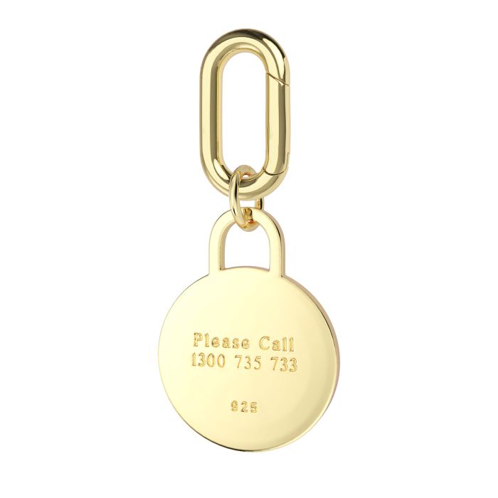 Personalised Enamel Circle Brass Pet Name Tag